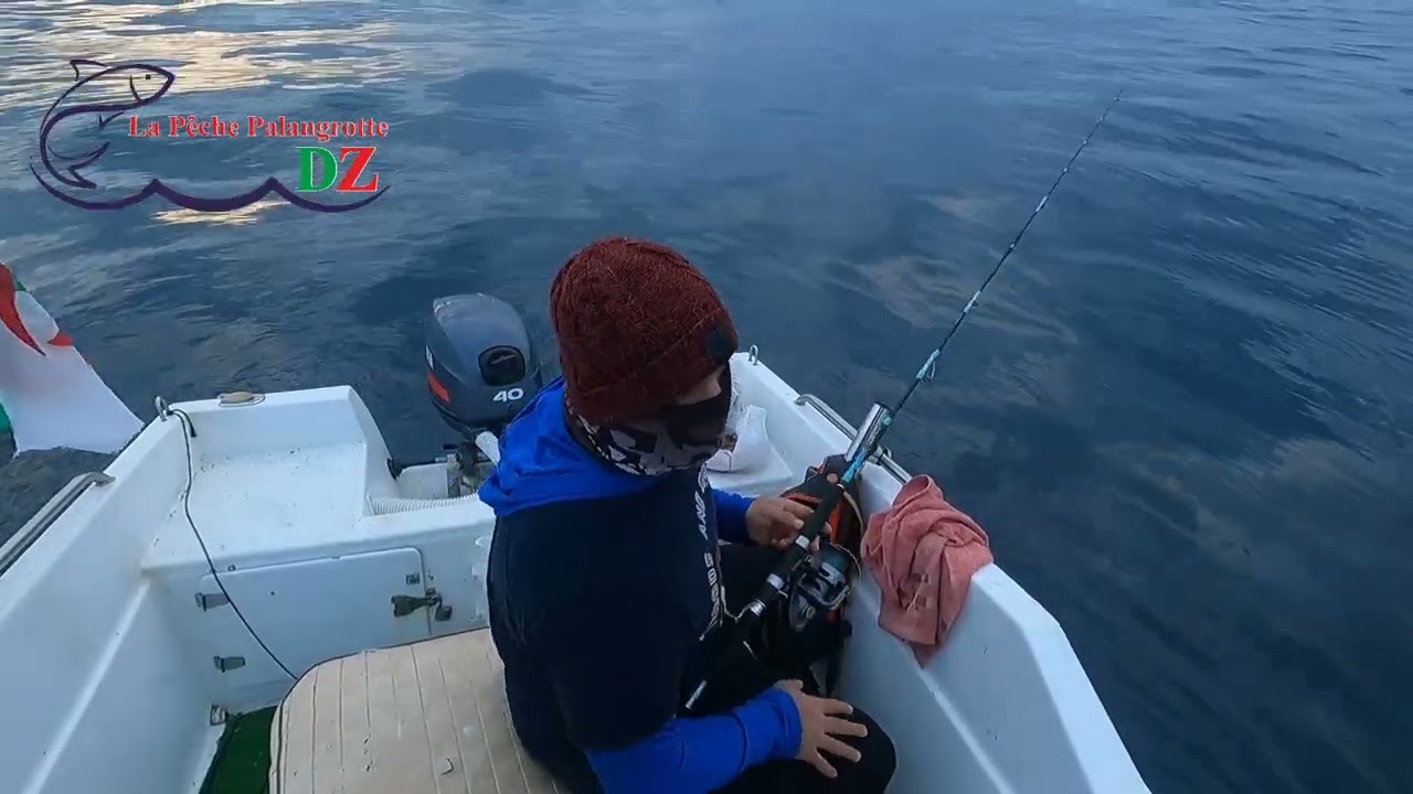 الدوراد حاضر بإذن الله 🐟🐟🐟🇩🇿🇩🇿🇩🇿