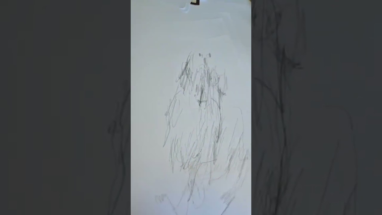 Where do images come from