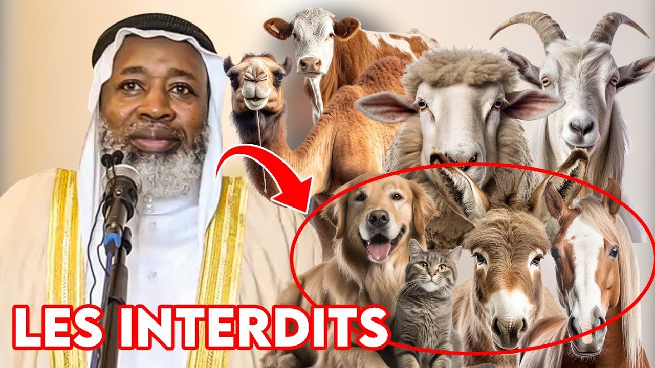 IMAM MAHMOUD KOUMA & DR. AHMAD SANGARÉ : LES INTERDITS CHIENS ; ÂNE ; CHEVAL....