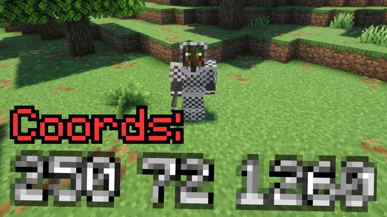Come Try to Kill Me in Donut SMP (Coords Leaked)