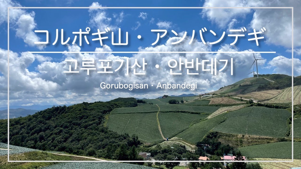 [韓国トレラン・江陵]コルポギ山・アンバンデギ白菜村 周回コース ※上級者向け ／ [강원도 강릉] 고루포기산 안반데기 (~ 횡계 버스터미널 환종주코스)