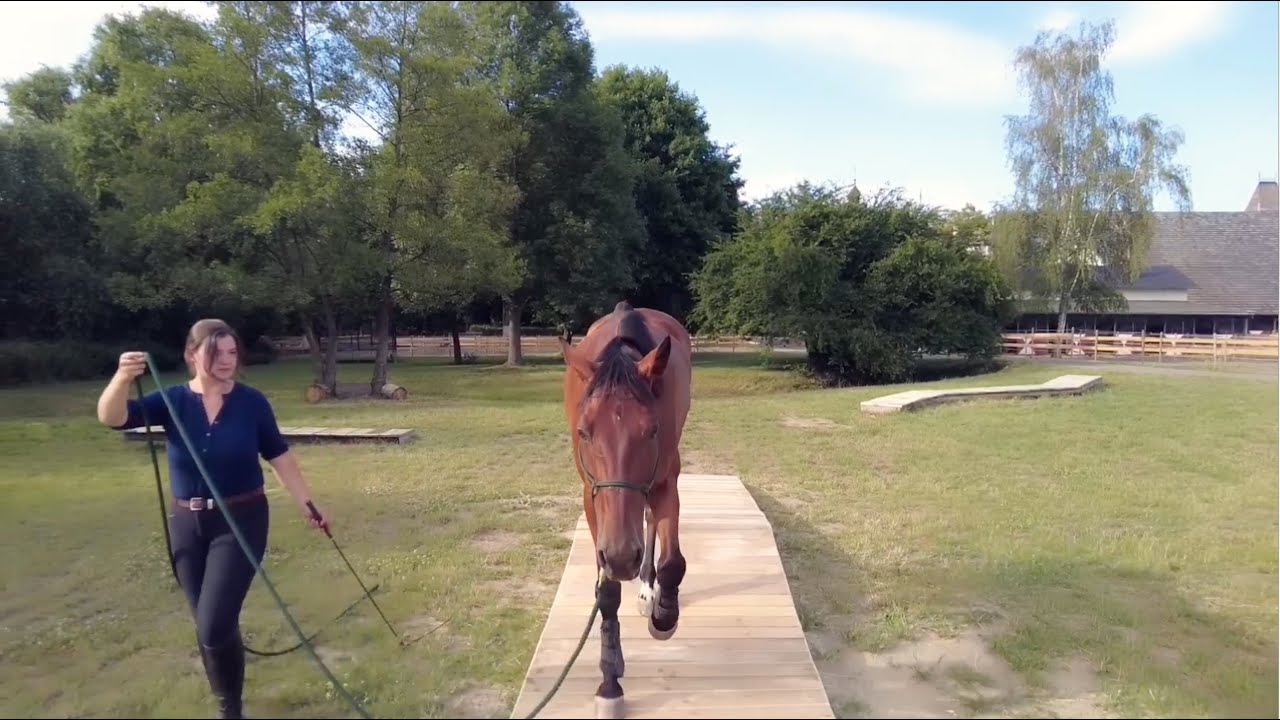 Der Trailplatz für Pferde in Rheinland-Pfalz - Extremetrail nahe Andernach