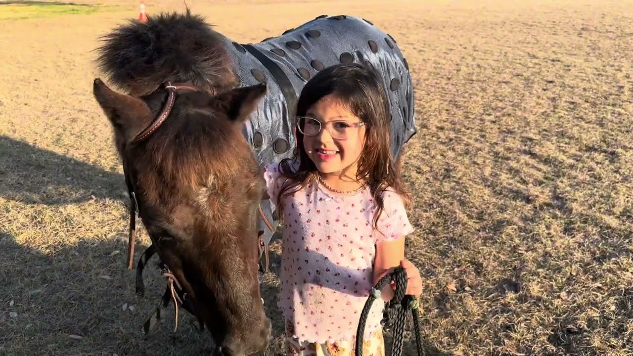 A little ride at home on my pony Logan 