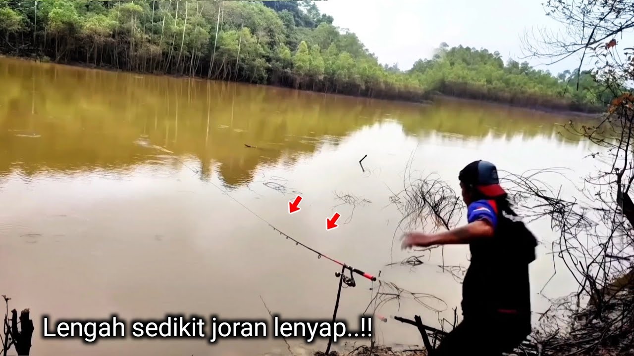 Masyaallah..!! Sungai apa kolam kok ikanya sebesar-besar ini