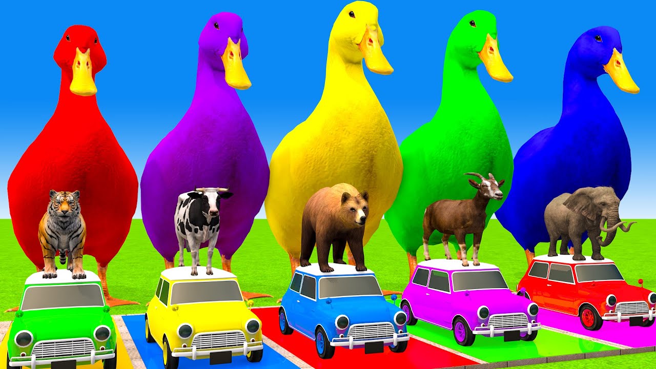 Long Slide Game With Cow Elephant Gorilla Hippopotamus Tiger 3d Animal Game Funny 3d Animals