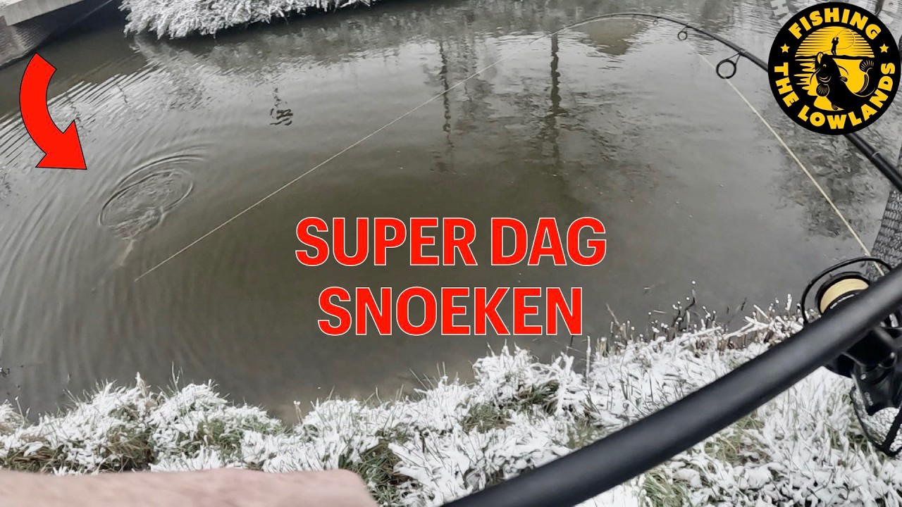 Super dagje snoeken in de sneeuw. FishVlog #189.