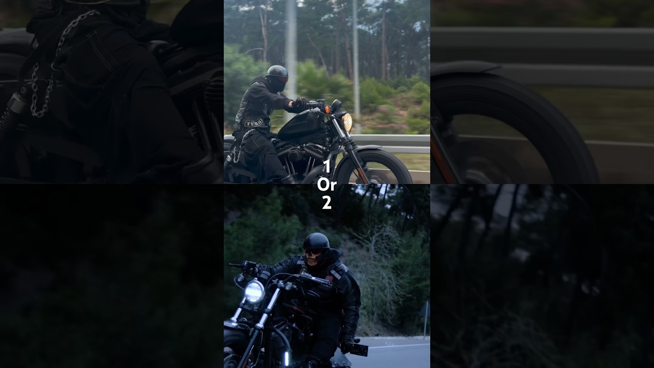 1 or 2? #vikings #harleydavidson #sportster1200 #iron883 #chopper