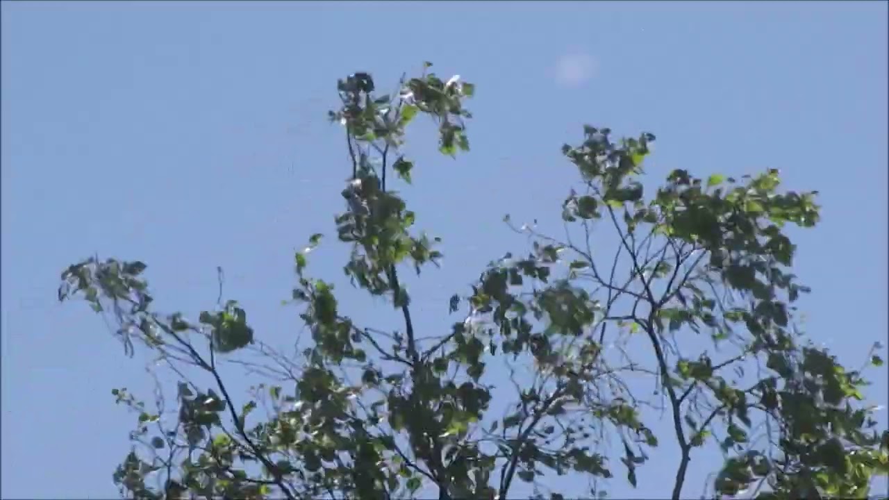 Tuulella ei ole ystävää - Heikki Aava🎵Juha Vainio - Sua muistan..🎵