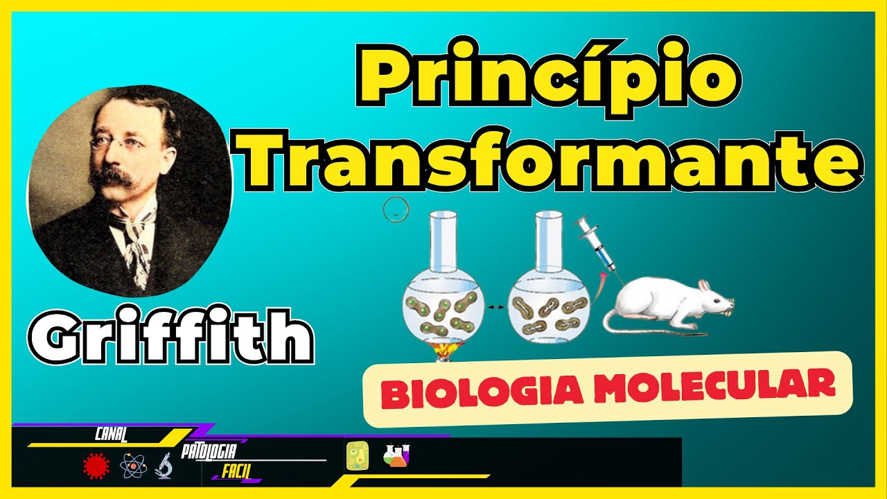 Experimento de Griffth - Princípio Transformante de Griffith [Biologia molecular]