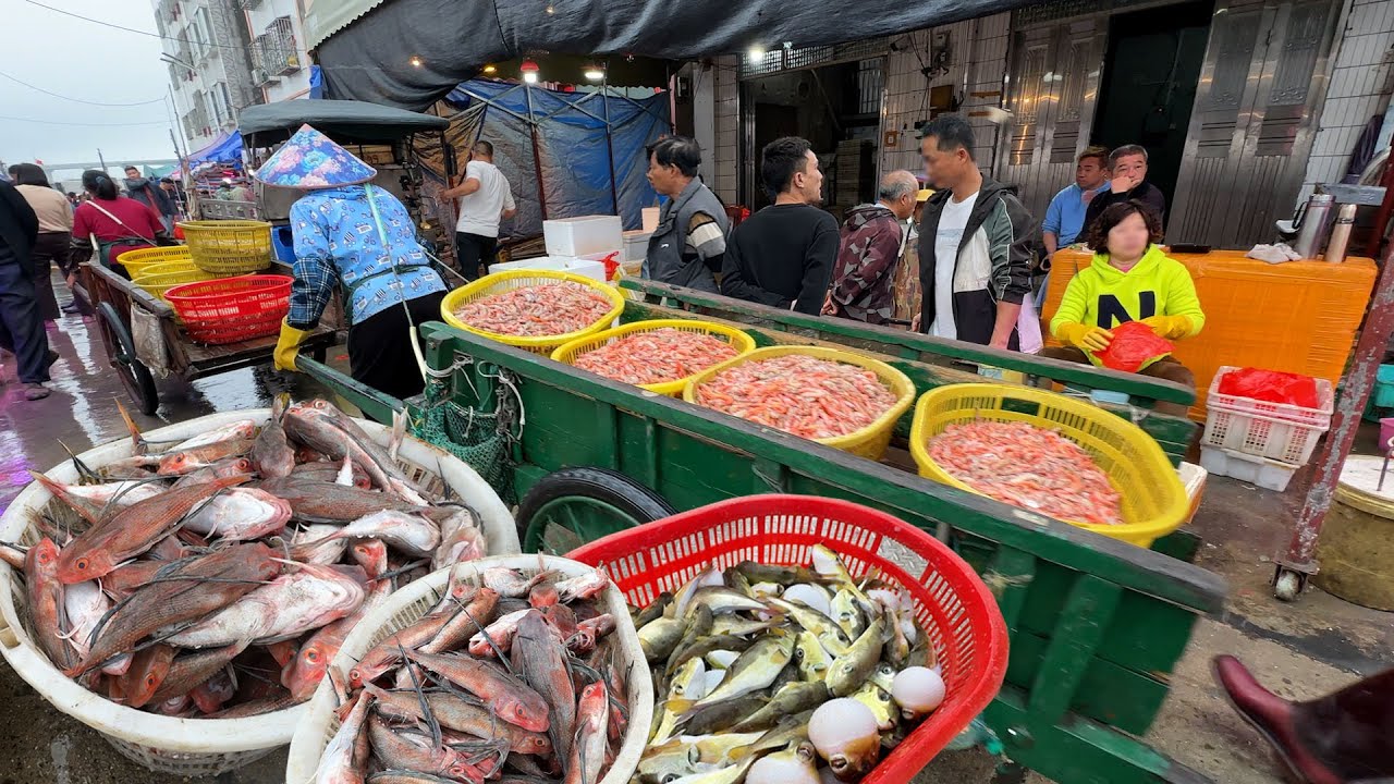 廣東茂名電白博贺魚港码头 廣東省最大漁港之一 海鮮市場 海鮮批發 海鮮加工 美食 探店 皮皮蝦 石斑魚 河豚魚 海鮮交易市場 Street Food Citywalk  4K