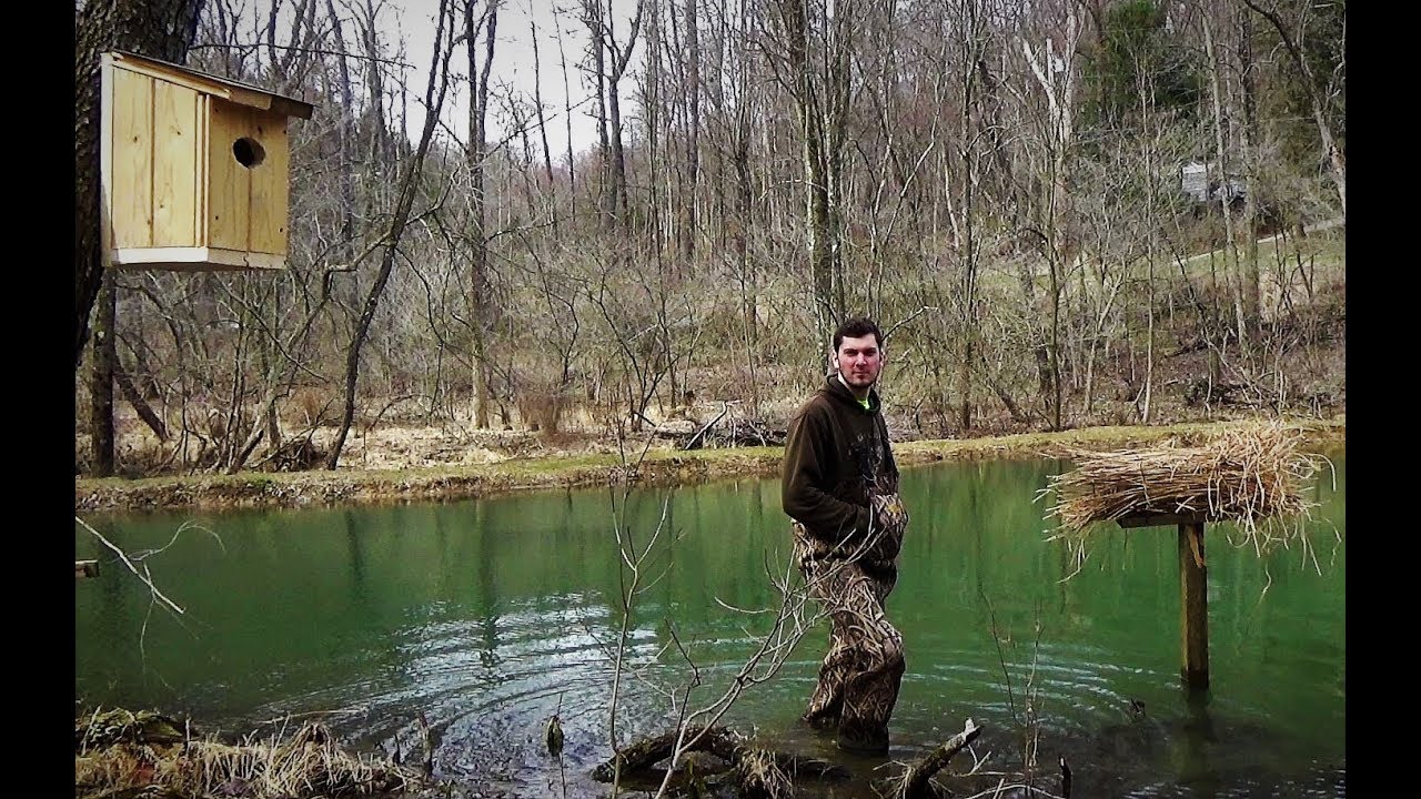 Building Wood duck box and Mallard nesting tube