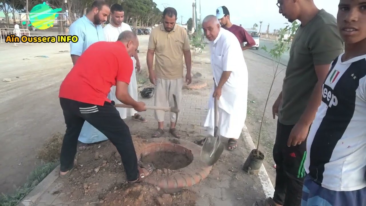 عين وسارة / حملة التشجير