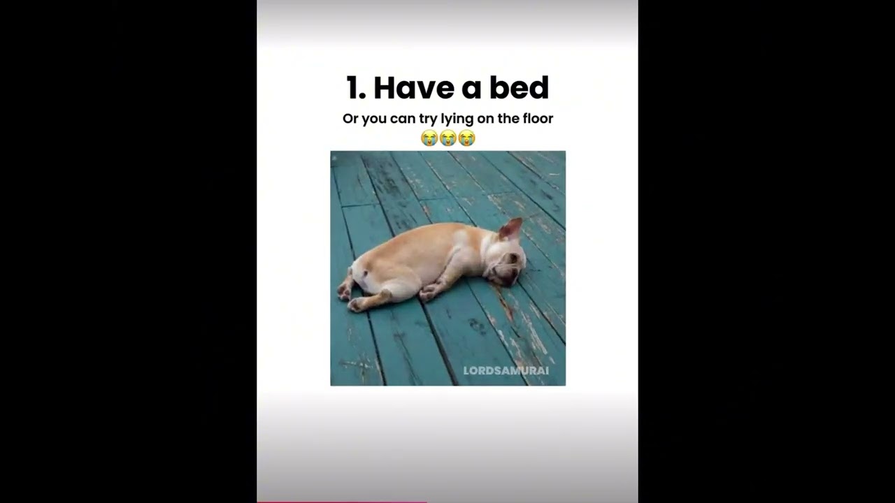 How To Sleep #asmr #sleep #shorts #funny #trending #foryou