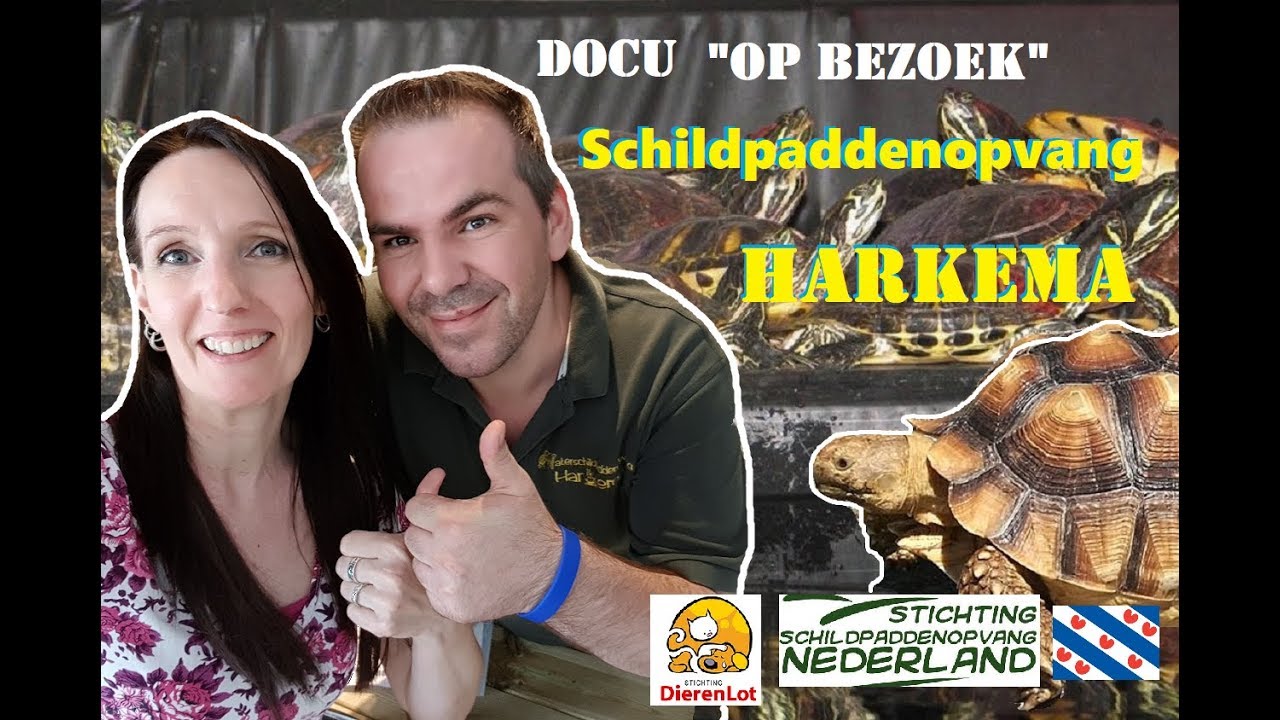 Docu op bezoek bij SCHILDPADDEN OPVANG Harkema