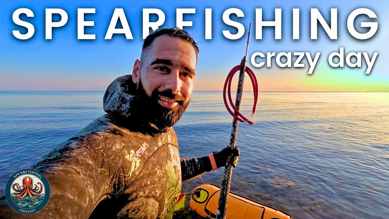 🔱 What a Crazy Day! | This Spot Was Full of Seabass & Predators | Shallow Spearfishing Greece 🐟