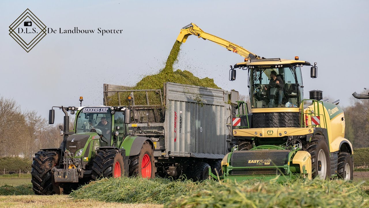 Grass silage | Krone Big X 780 + Fendt 722 | Tritare l'erba | 2021