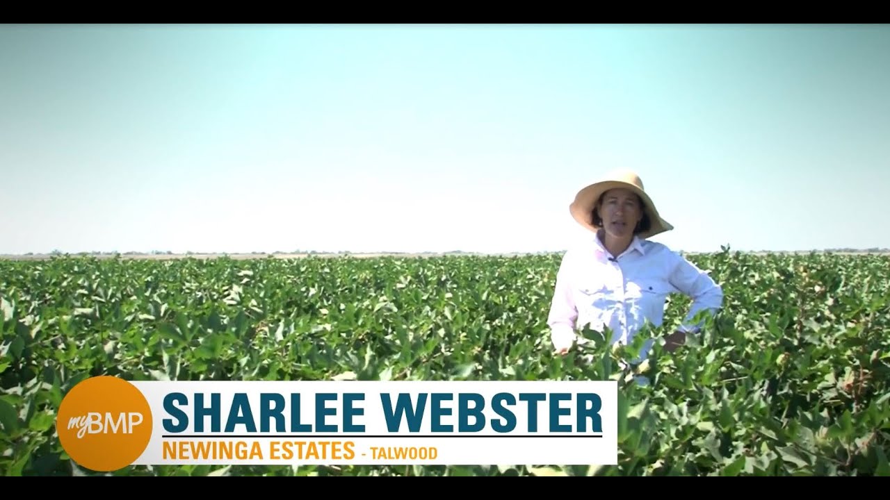 myBMP: Australian Cotton Grower Case Studies