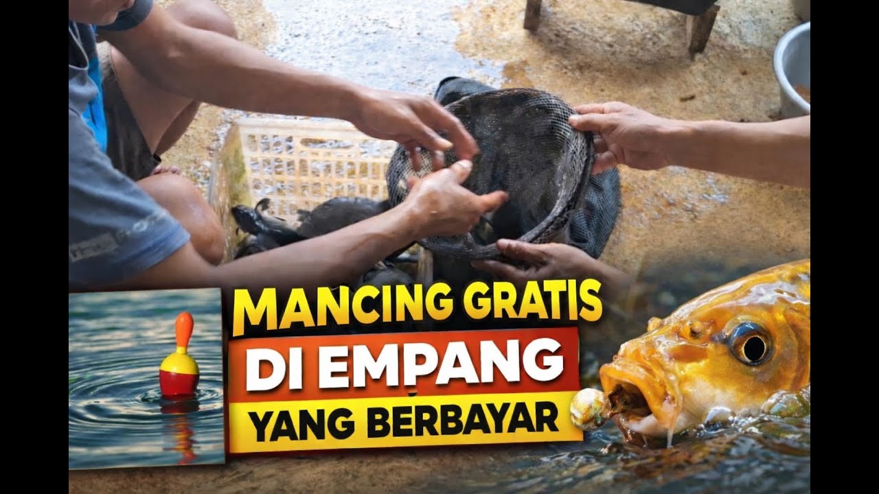MANCING GRATIS DI KOLAM BERBAYAR , Pakai Essence ini