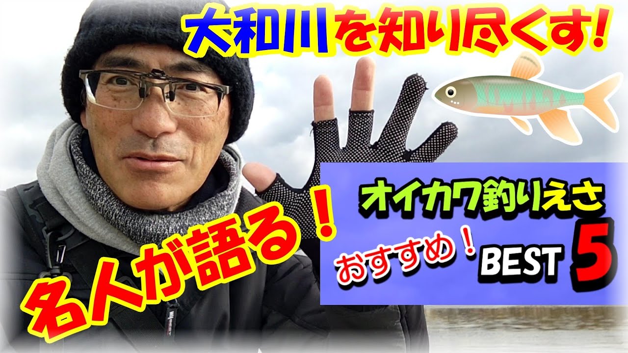 【オイカワのエサ・ランキングベスト5】ヤバい！大和川で5年間オイカワ釣りをしてきたアングラーが語る・オイカワのベストなエサは何？BEST5の輝く第1位はヘラブナのエサ作りで有名なマルキューの・・・