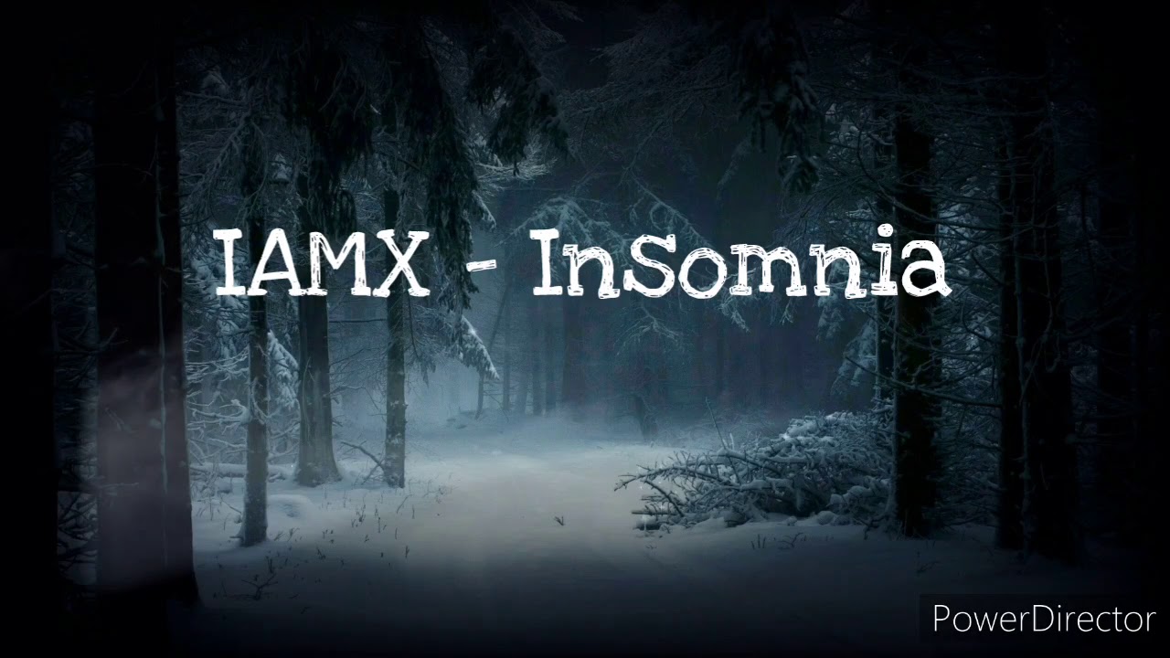 IAMX Insomnia - Lyrics