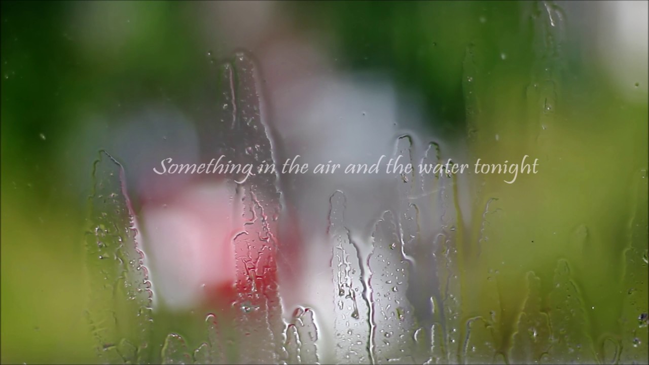 Kings of Leon - Wild - Lyrics video