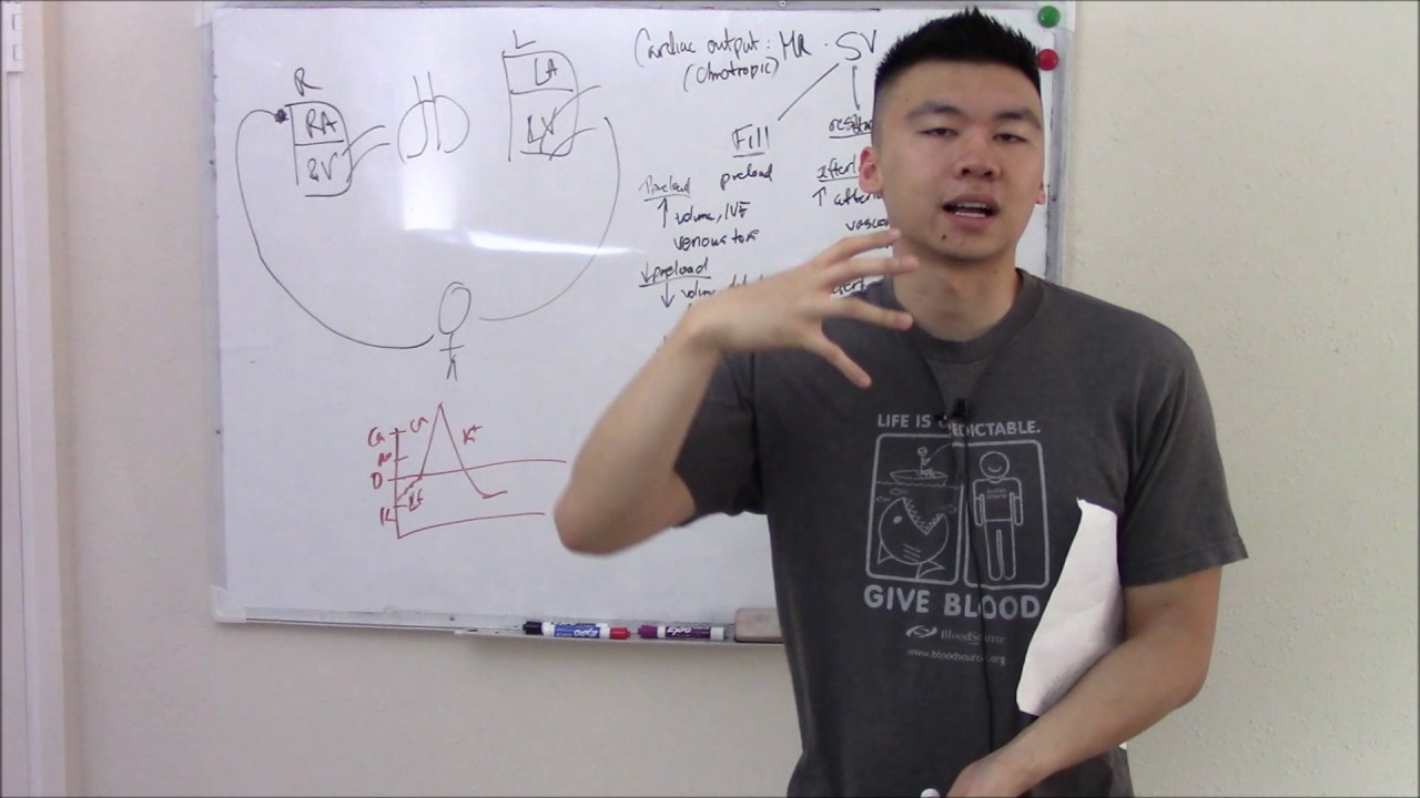 USMLE Cardiovascular 5: Cardiac Output Physiology, Frank Starling Curve, and more!