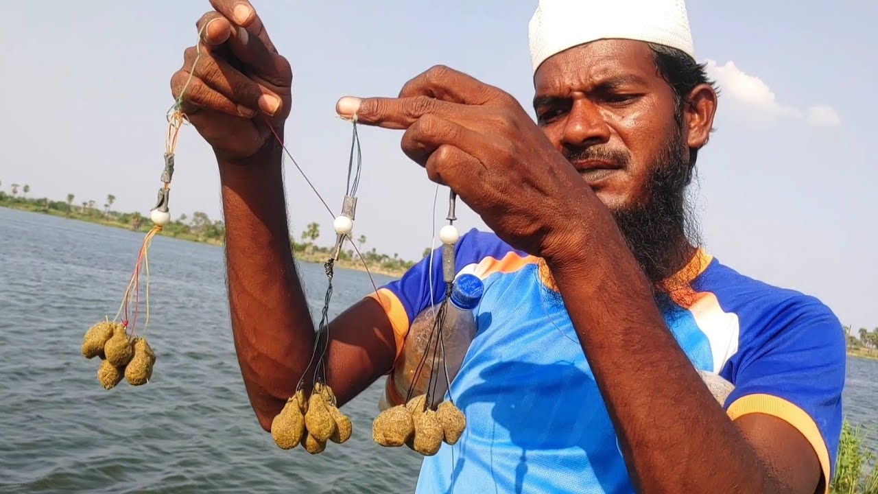 Awesome fishes || Gucha galam Bait Big Rohu Fishes Hunting || incredible Fishes Catching 🦈 🦈