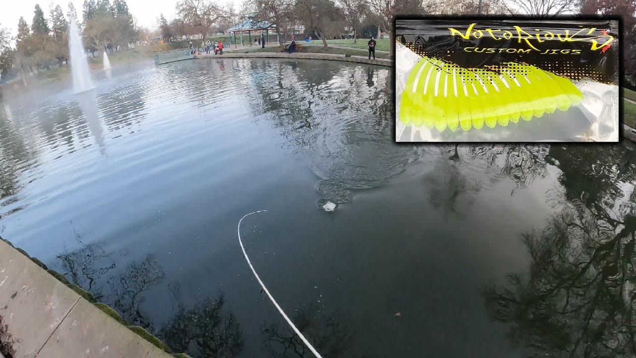 Fastest Trout Limits Fishing At Howe Park With The Notorious Jig