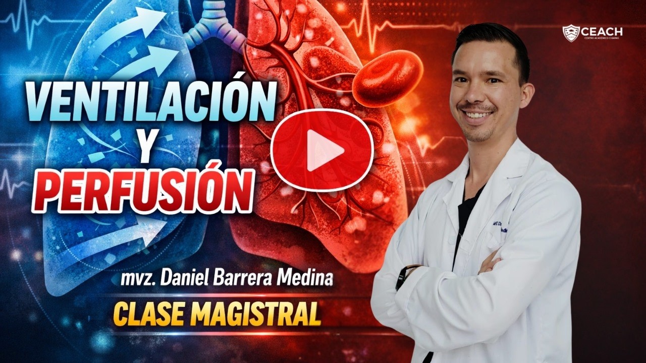 Ventilación y perfusión   2026 02 27