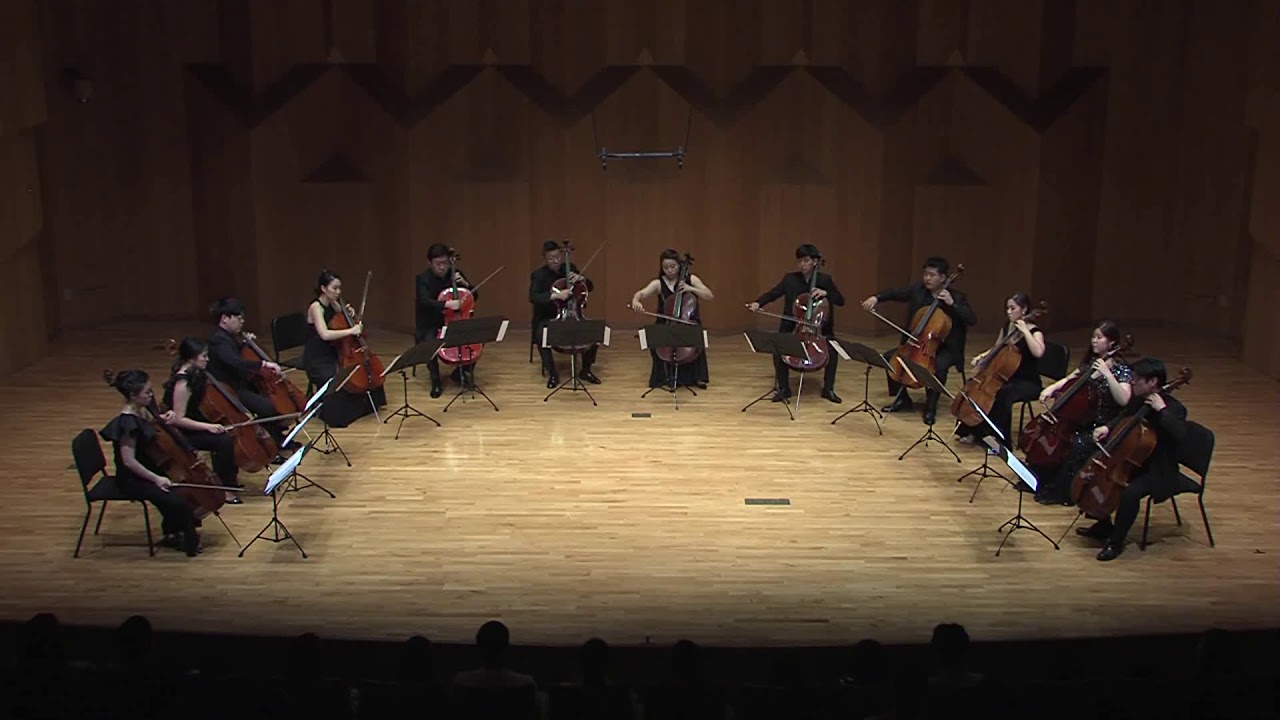 Cellista Cello Ensemble (Korean top 12 cellists) - Vitali  Chaconne