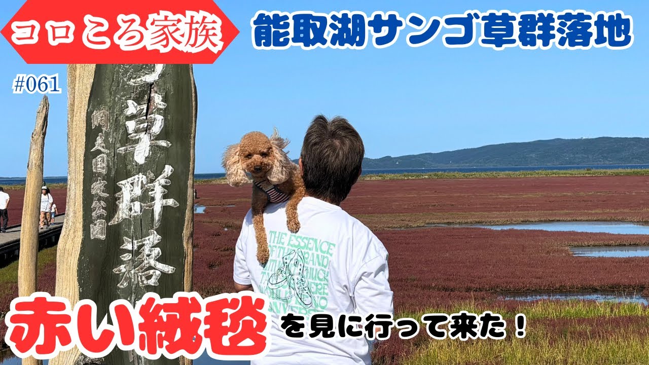#061 能取湖サンゴ草群落地へ
