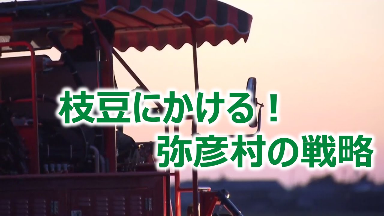 枝豆にかける！弥彦村の戦略　スーパーJにいがた10月8日OA
