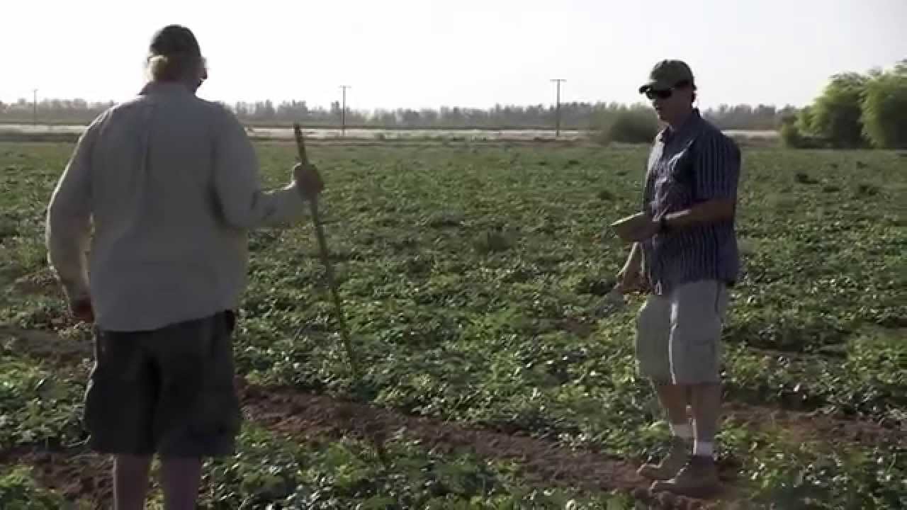 Farmland - Official Trailer