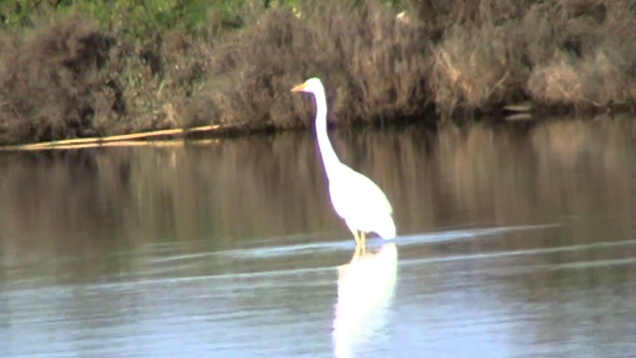 trip to Koronisia_Arta-Ipirus-Greece_February 2016