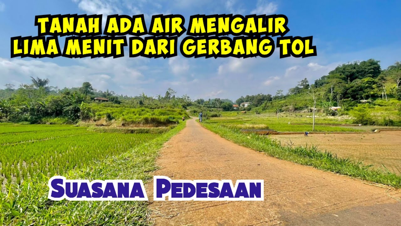 Dijual Tanah Sawah 1675 m2 Sudah SHM Dekat Gerbang Tol Hanya 5 Menit Udara Sejuk Suasana Pedesaan