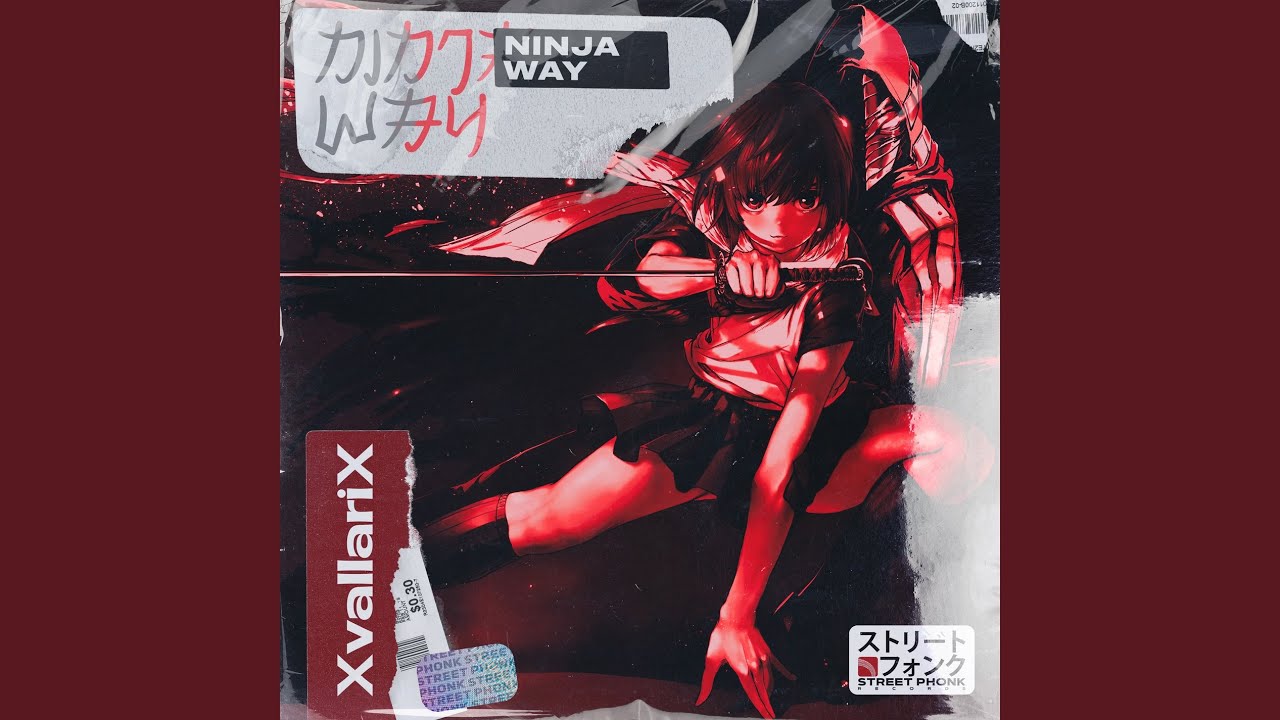 Ninja Way