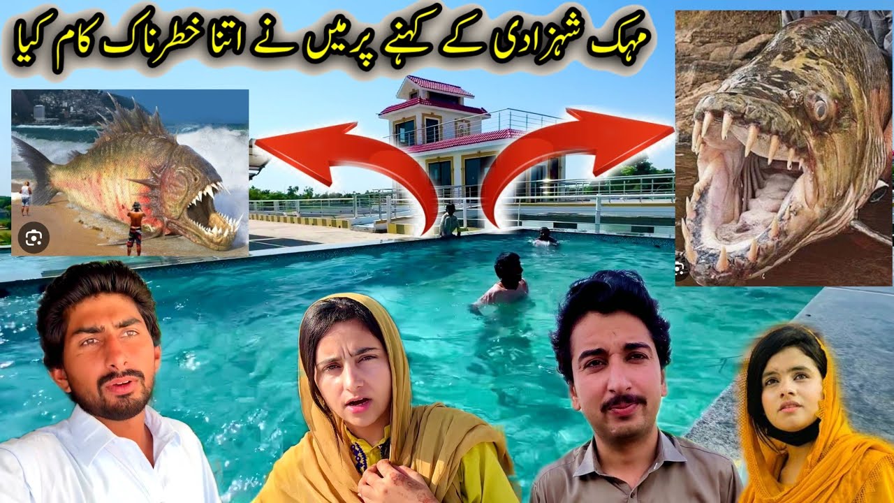 Mehak shahzadi ky kehnay pr ma ny bht khatarnak kaam kia😙🤑🤑