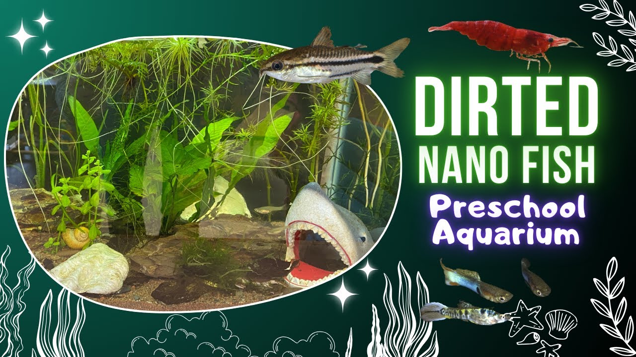 Dirted Nano Fish Tank - The Preschool Edition