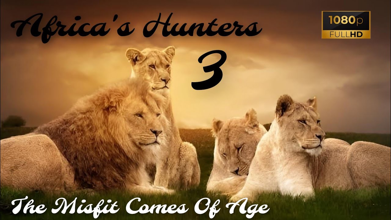 🦁 Africa's Hunters: | The Misfit Comes of Age | Wildlife Documentary 🌱🦒