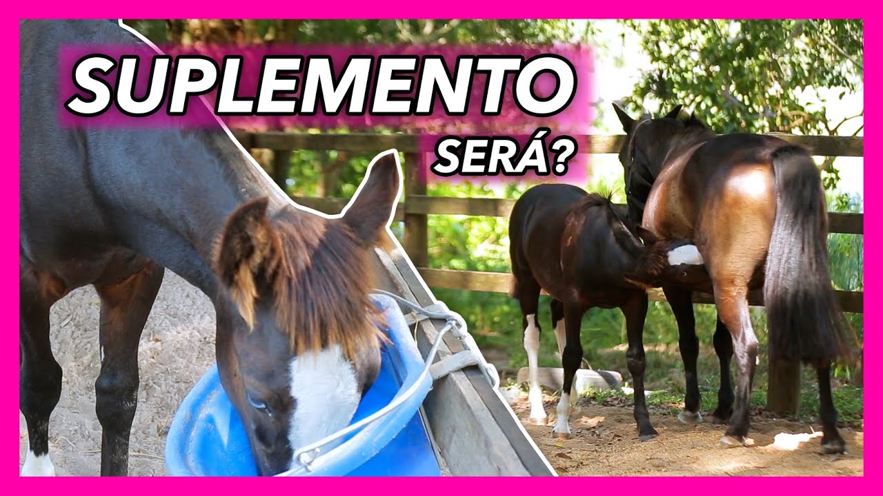 POTROS entre três e seis meses