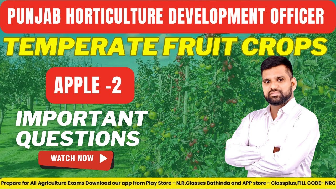 Temperate Fruit Crop | Apple -2 | Punjab Horticulture Development officer (HDO) 2025