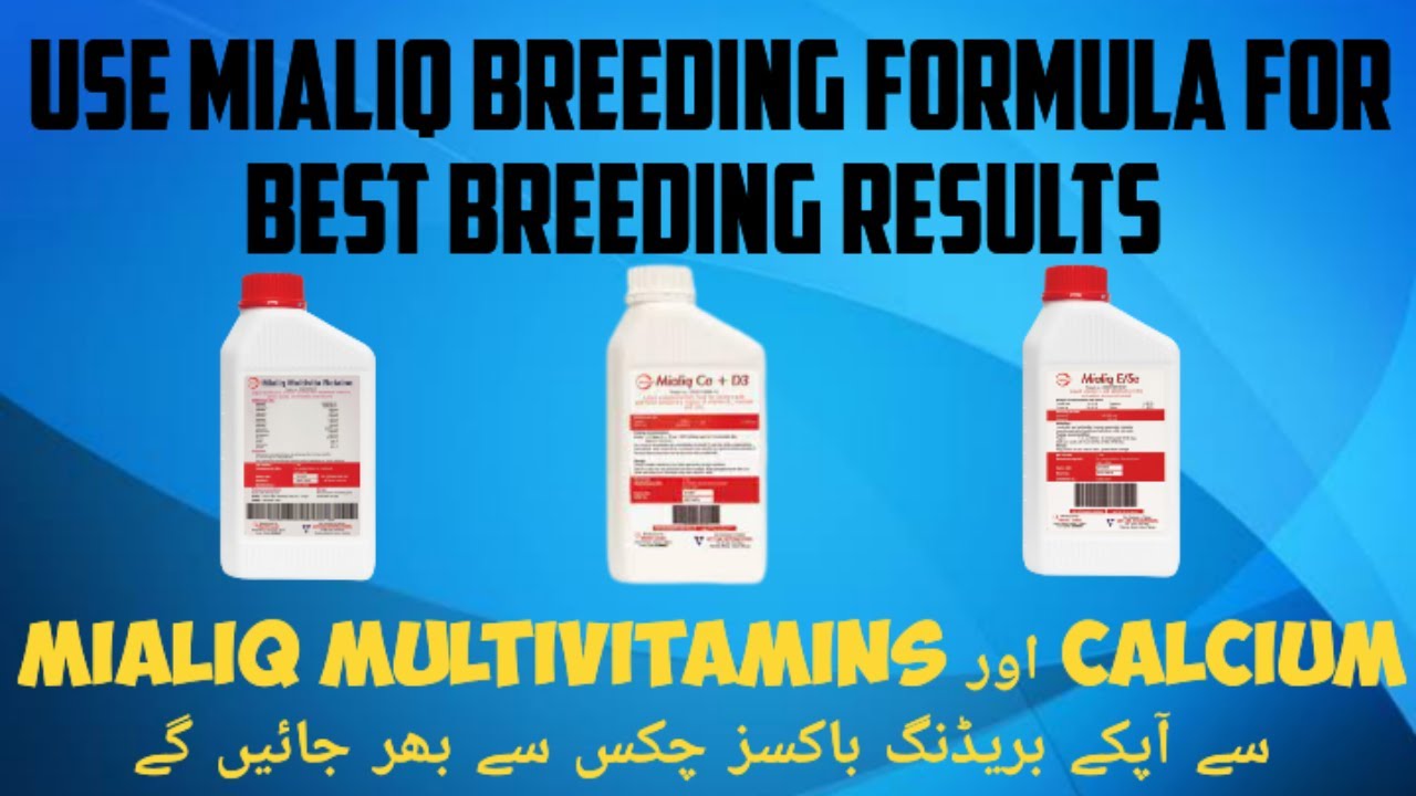 How to use Mialiq Multivitamins | Complete Information of Mialiq Breeding Formula