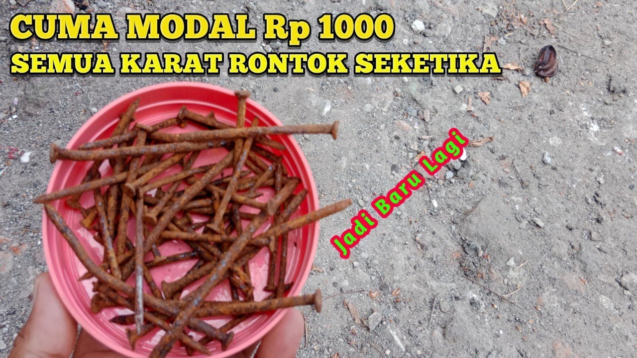 CUMA MODAL Rp 1000 PAKU BERKARAT JADI BARU LAGI