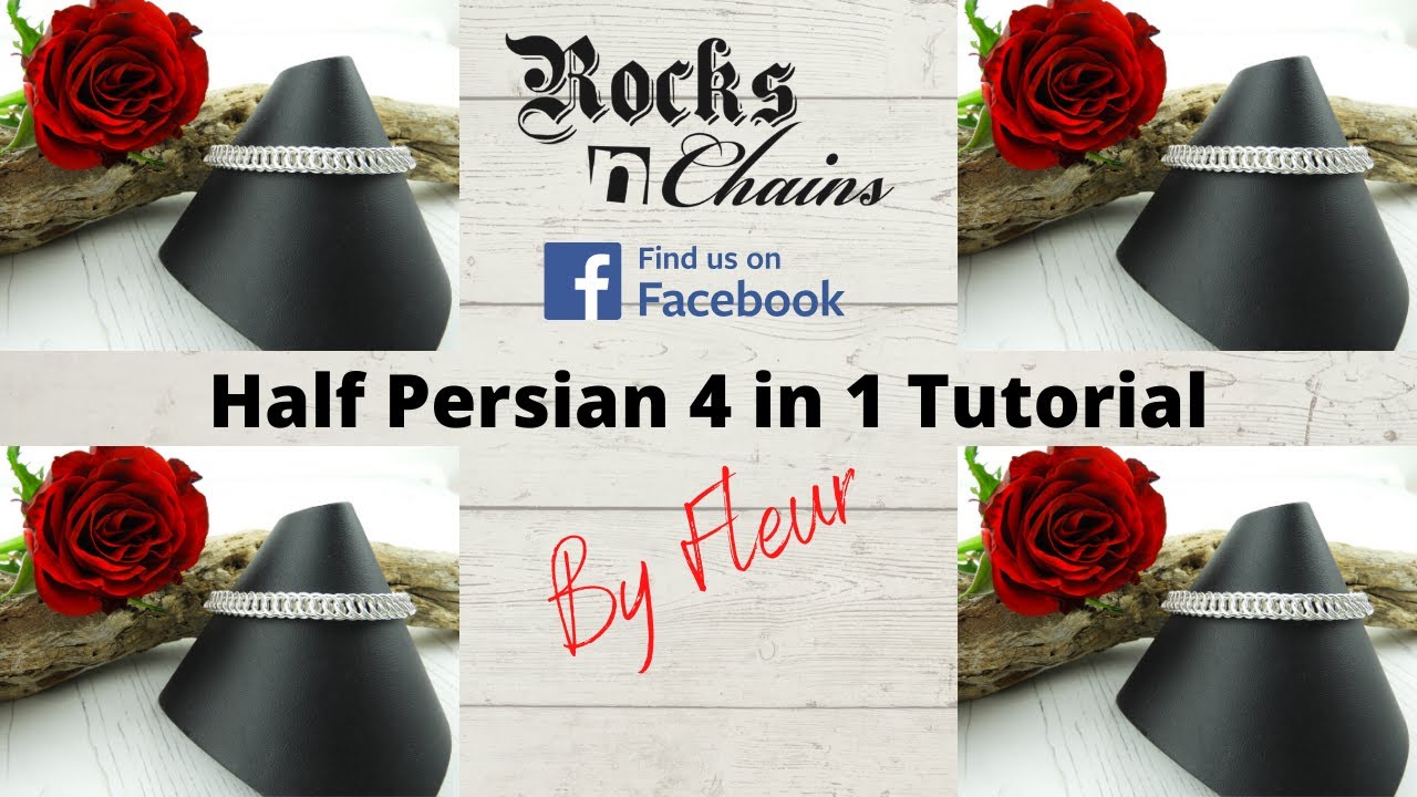 Half Persian 4 in 1