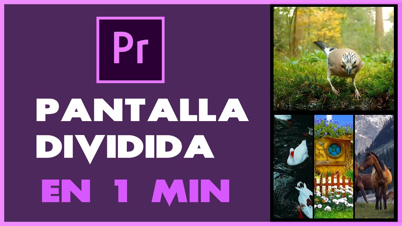 Como Hacer Pantalla Dividida Automáticamente en PREMIERE PRO