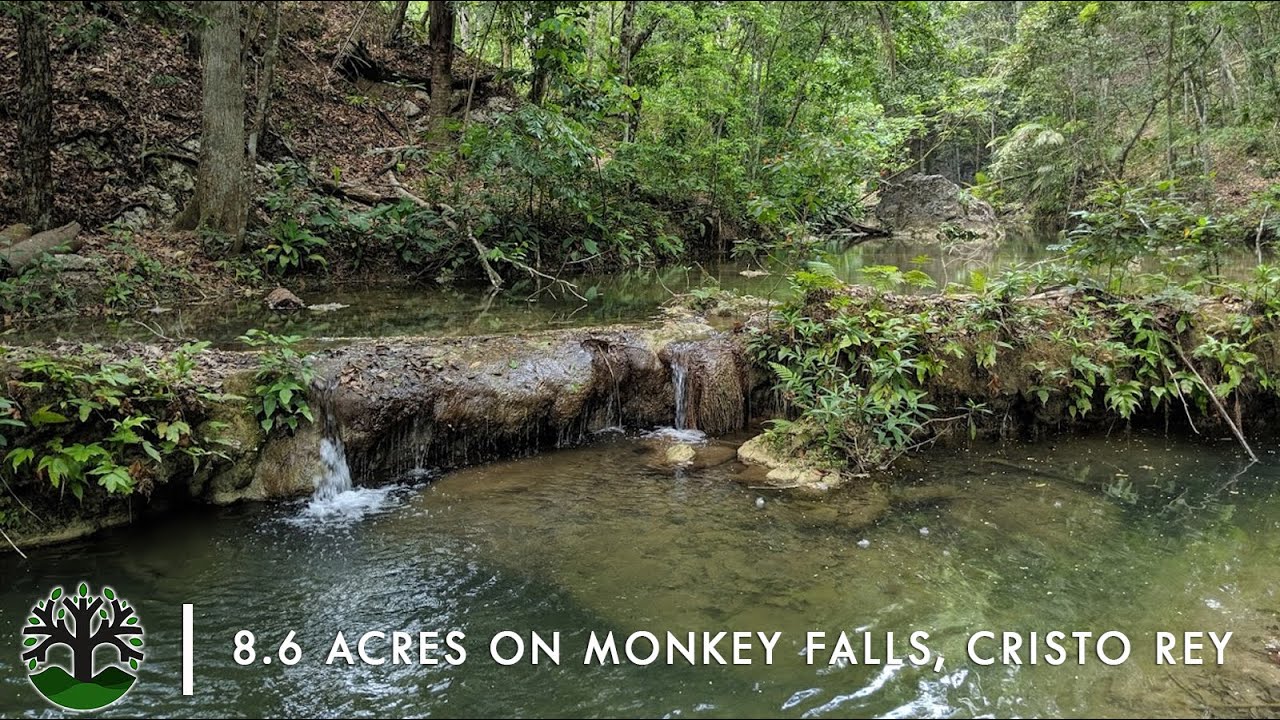 8.6 Acres in Monkey Falls, Cristo Rey | 450 ft. of Creek Frontage