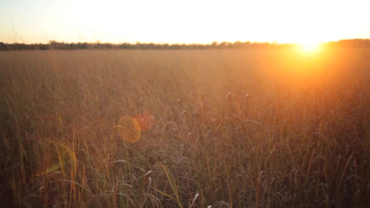 The Bounty of the Blackland Prairie
