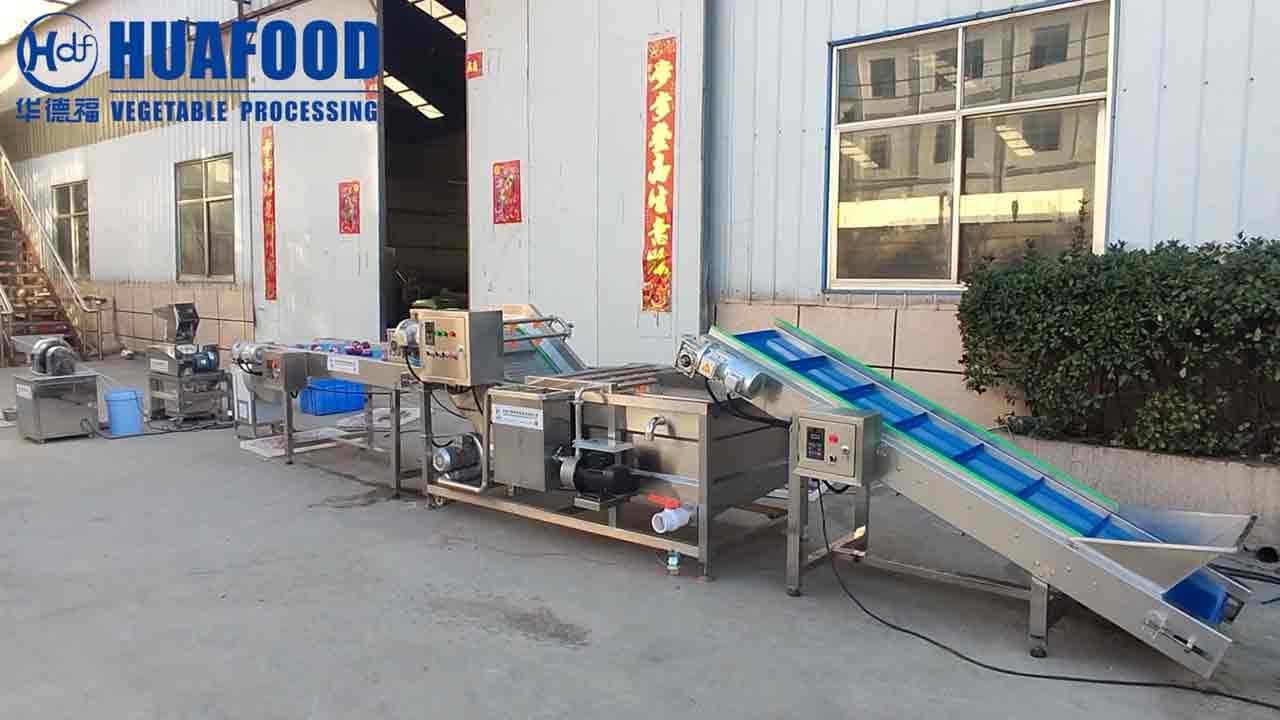 Onion Washing Drying Dewatering and Milling Machine production line