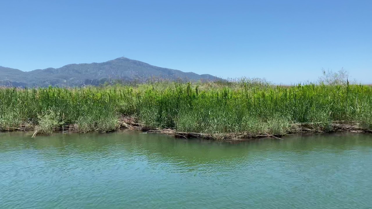Passing by the Fish Gate in Dalyan River, the fish need to stay on the river side.