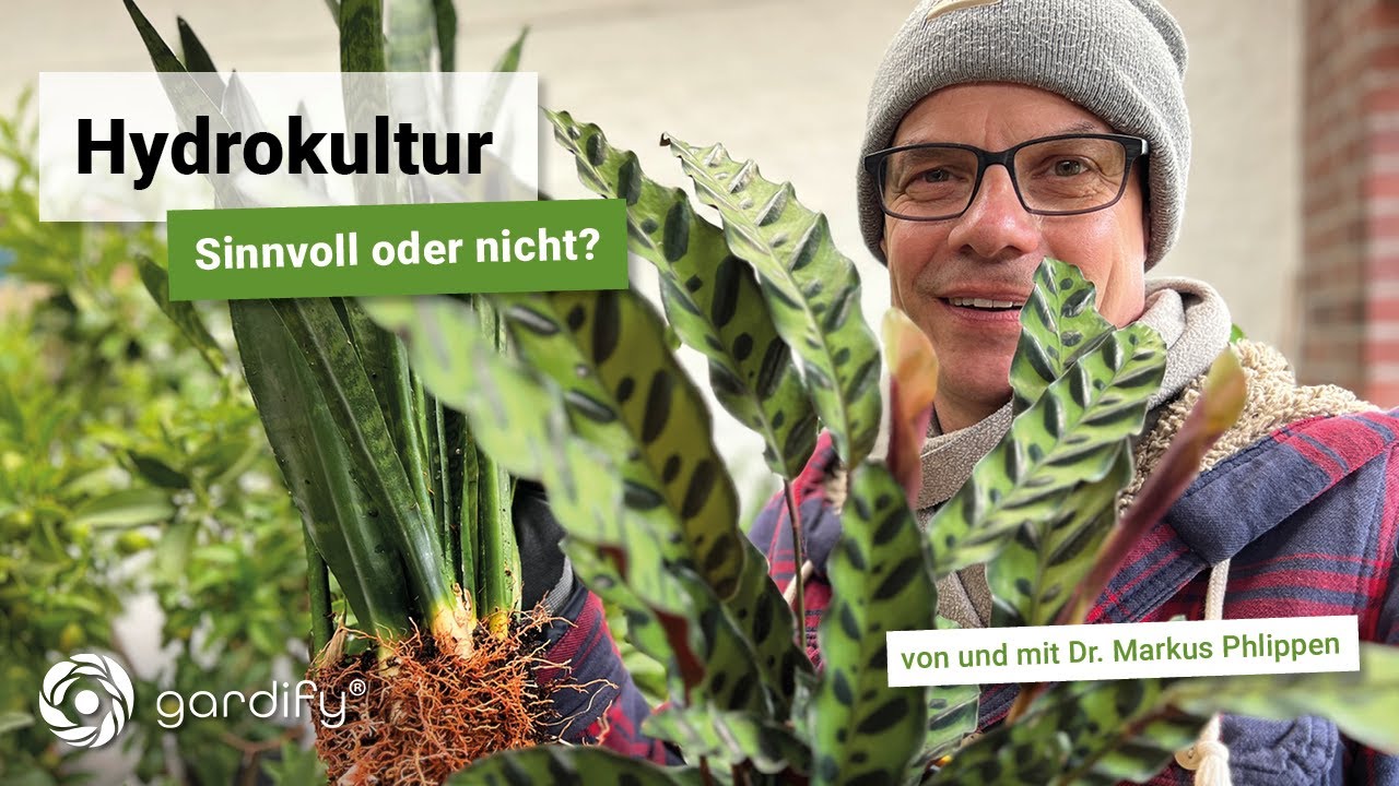 Umstellung auf Hydrokultur - wie geht das? Vorteile und Nachteile? Infos zu Substrat und Dünger!